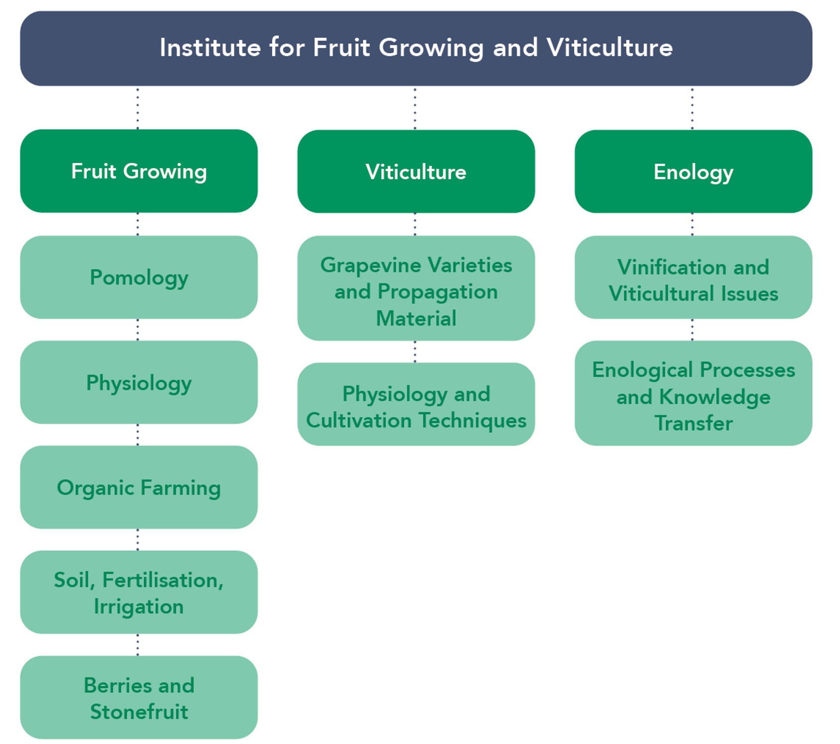 Organization Chart Institute for Fruit Growing and Viticulture 2023