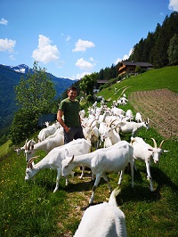 Helmut Großgasteiger