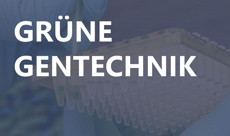Grüne Gentechnik
