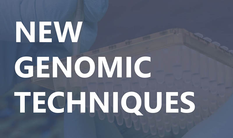 New Genomic Techniques