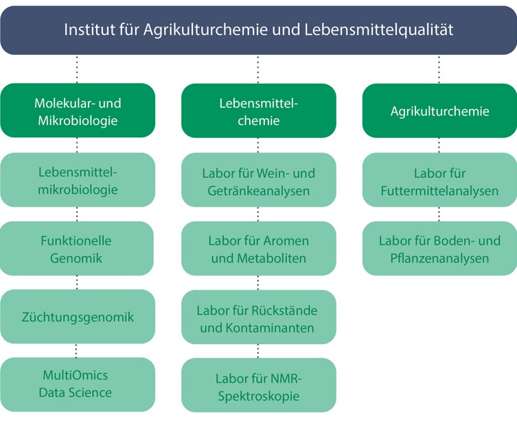 Organigramm Institut fuer Agrikulturchemie und Lebensmittelqualitaet 2025