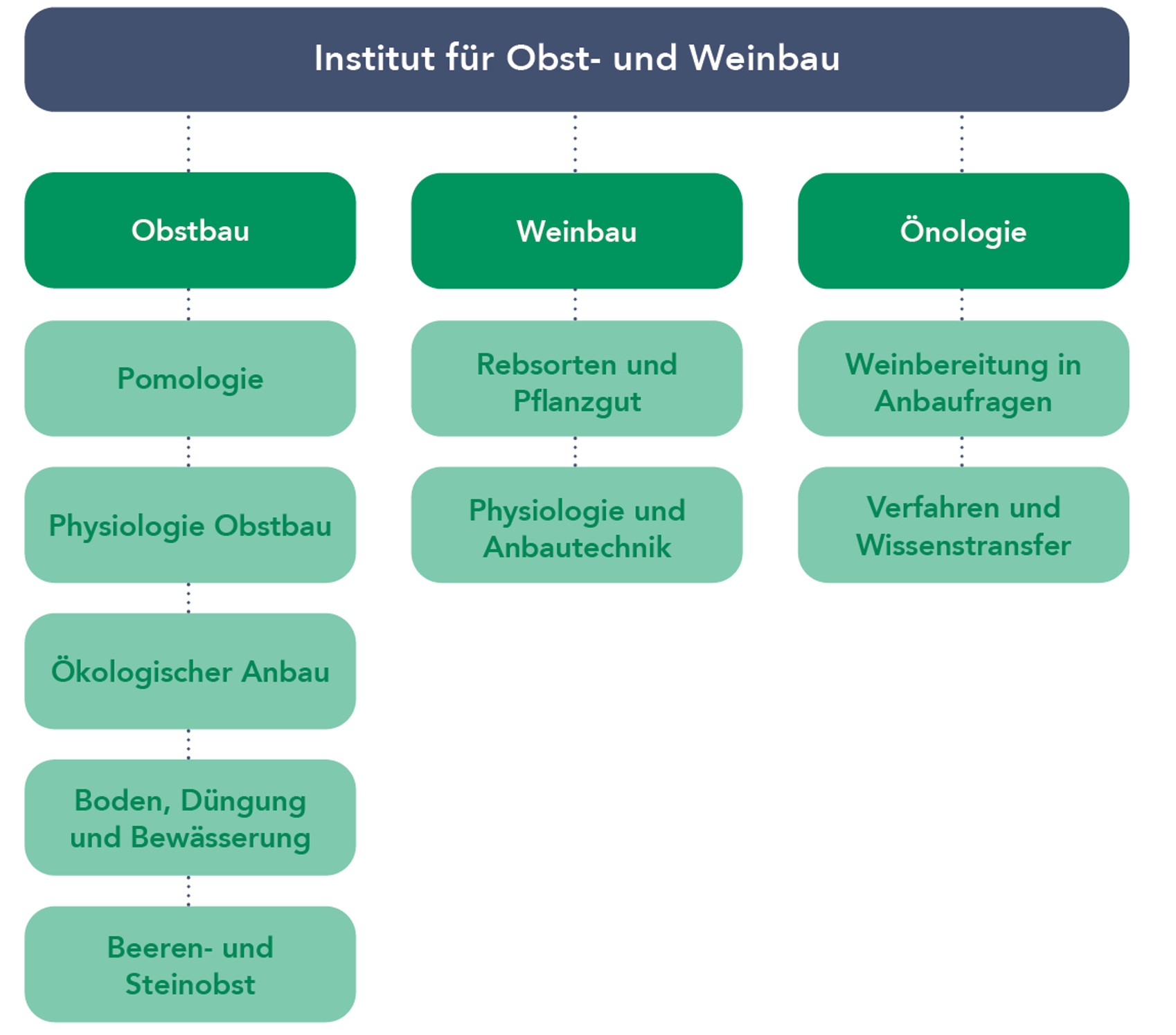 Organigramm Institut fuer Obst- und Weinbau 2023