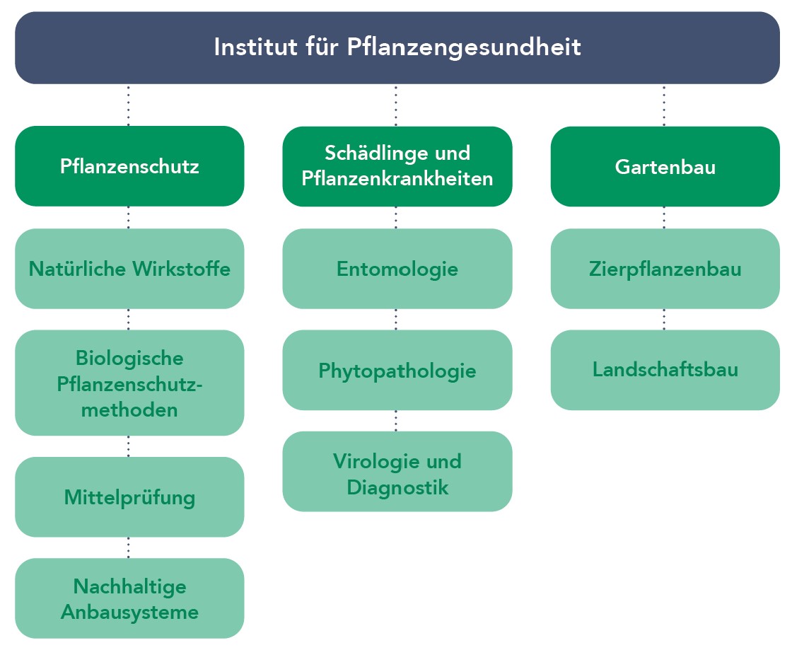 Organigramm Pflanzengesundheit 2023