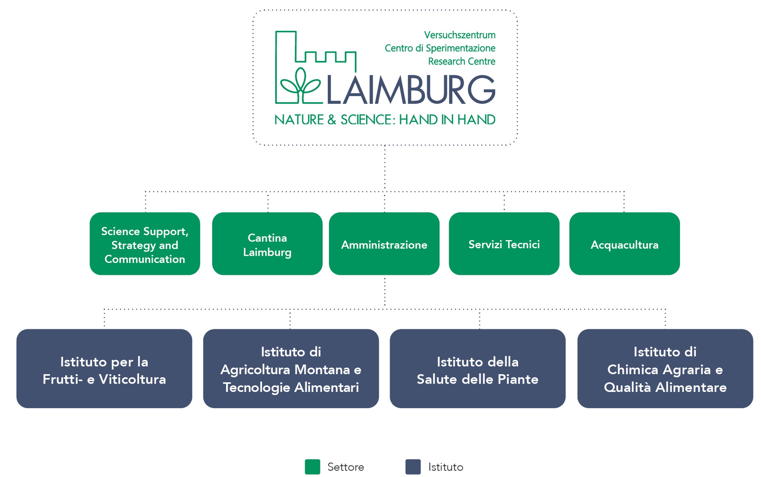 Organigramma CSL 2023