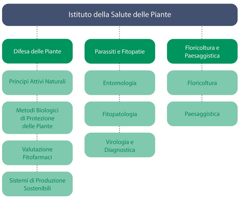 Organigramma Istituto della Salute delle Piante 2024