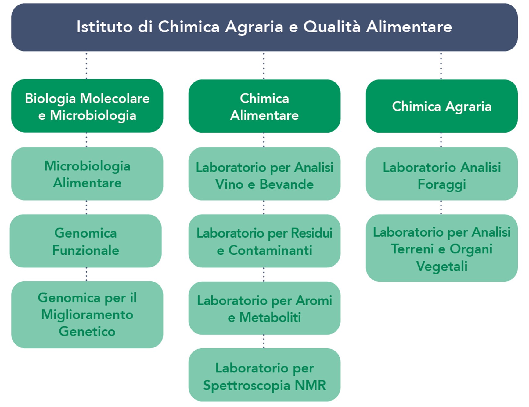 Organigramma Istituto di Chimica Agraria e Qualita Alimentare 2023