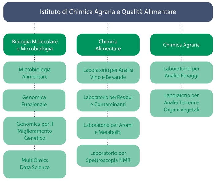 Organigramma Istituto di Chimica Agraria e Qualita Alimentare 2025