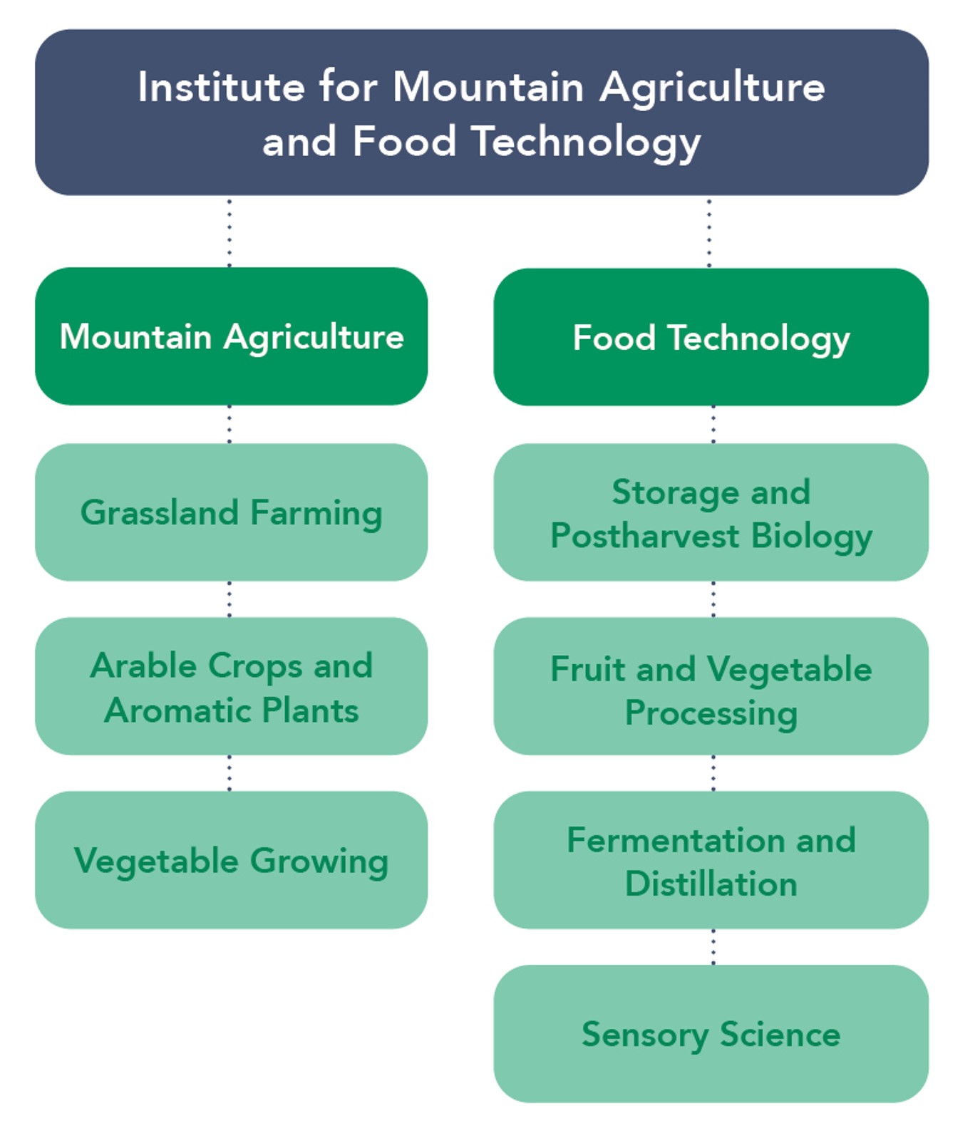 Organization Chart Institute for Mountain Agriculture and Food Technology 2023