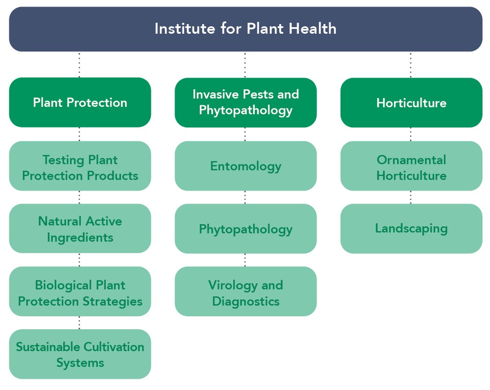 Organization Chart Institute for Plant Health 2023