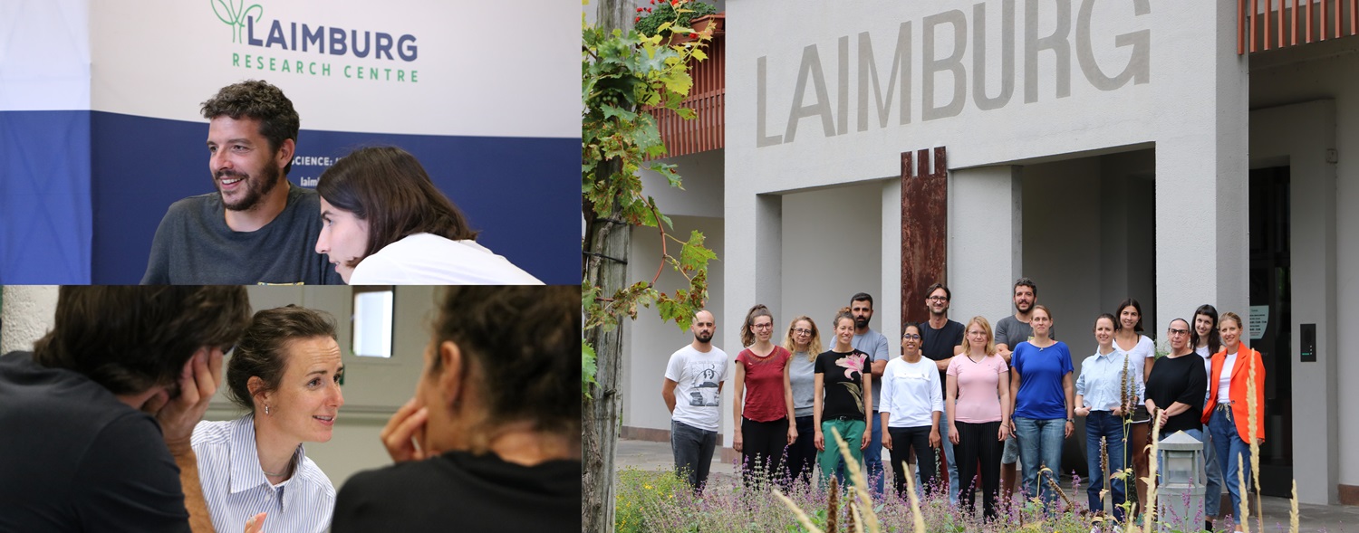 Laimburg Building